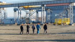 Группа компаний ДНС ввела в строй домостроительный комбинат